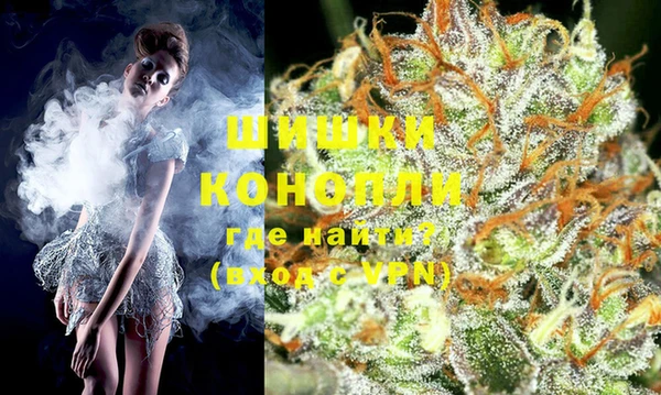 ГАЛЛЮЦИНОГЕННЫЕ ГРИБЫ Абаза
